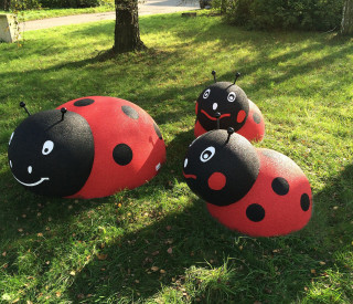 MINI+CLASSIC ladybird