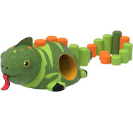 Chameleon with tube photo